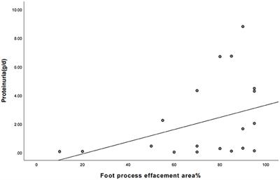 Study on the relationship between nephrotic syndrome and atopic diseases in childhood